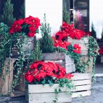 Winter in Covent Garden