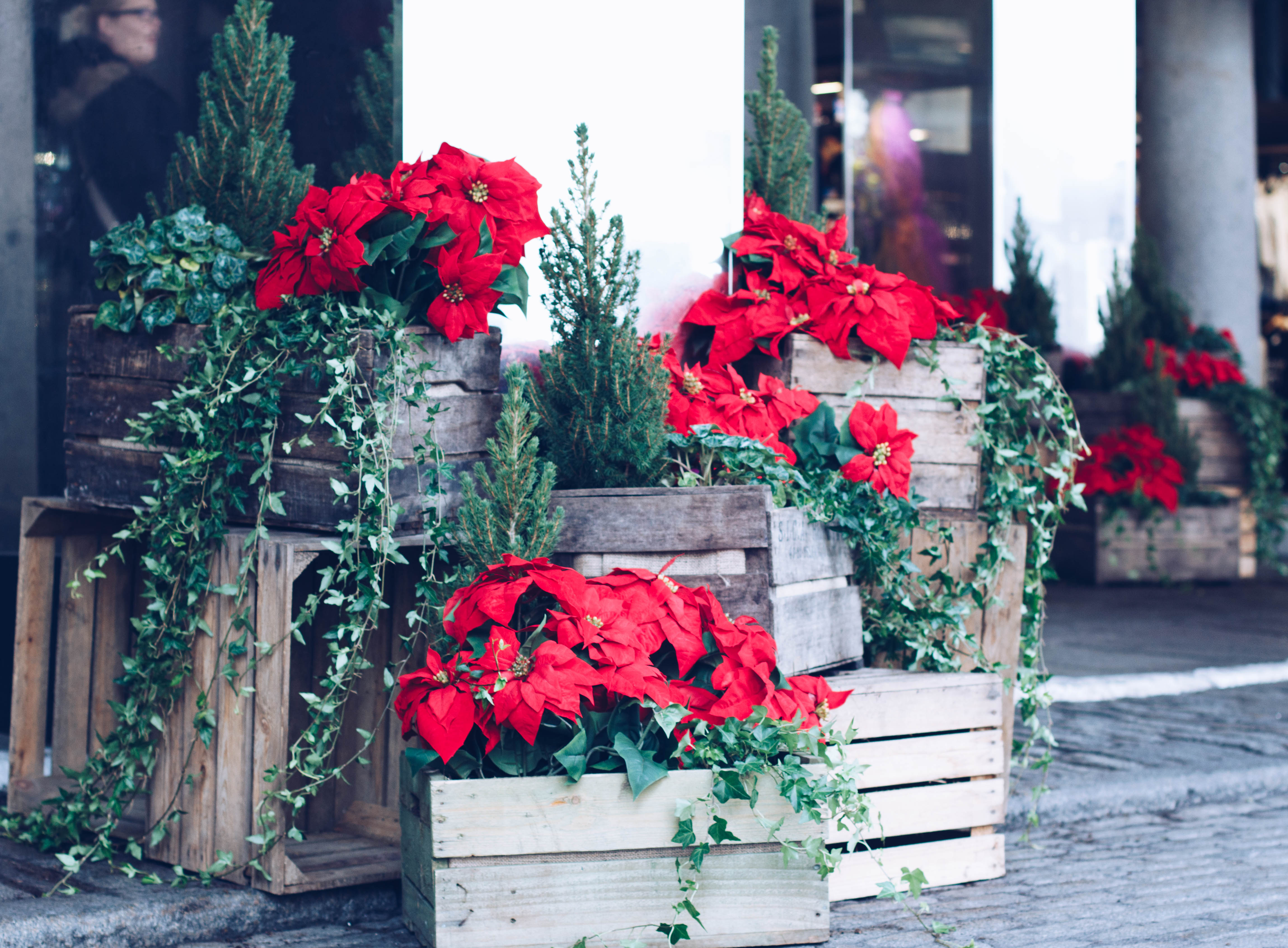 Winter in Covent Garden